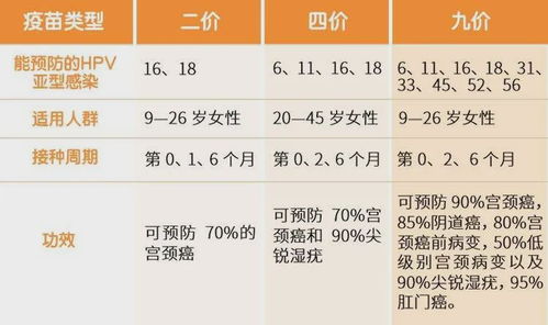 黄大仙精准三肖三码必出|探索创意世界的无限可能_实验型.5.62