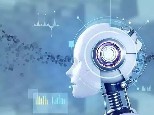 2024年跑狗图今天的|深度解答解释落实_YE版.4.224