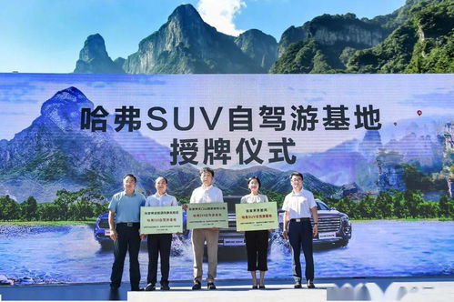 新奥门免费资料大全优势在哪里|探索新兴旅游胜地的魅力_手机版.1.773